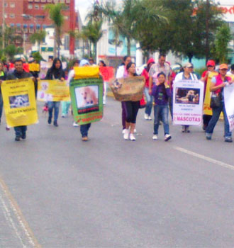 marcha-iva-croquetas-cuadrada